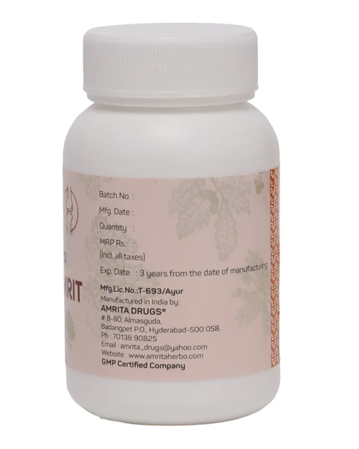 Amrita Asthyamrit (100 Tablets) - Image 4