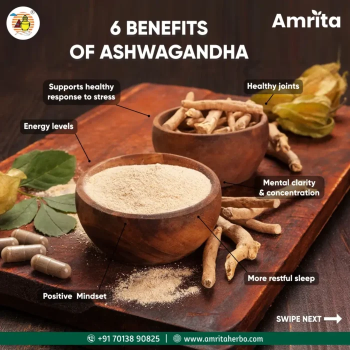 Amrita Ashwagandha Tablets (60 Tablets) - Image 6